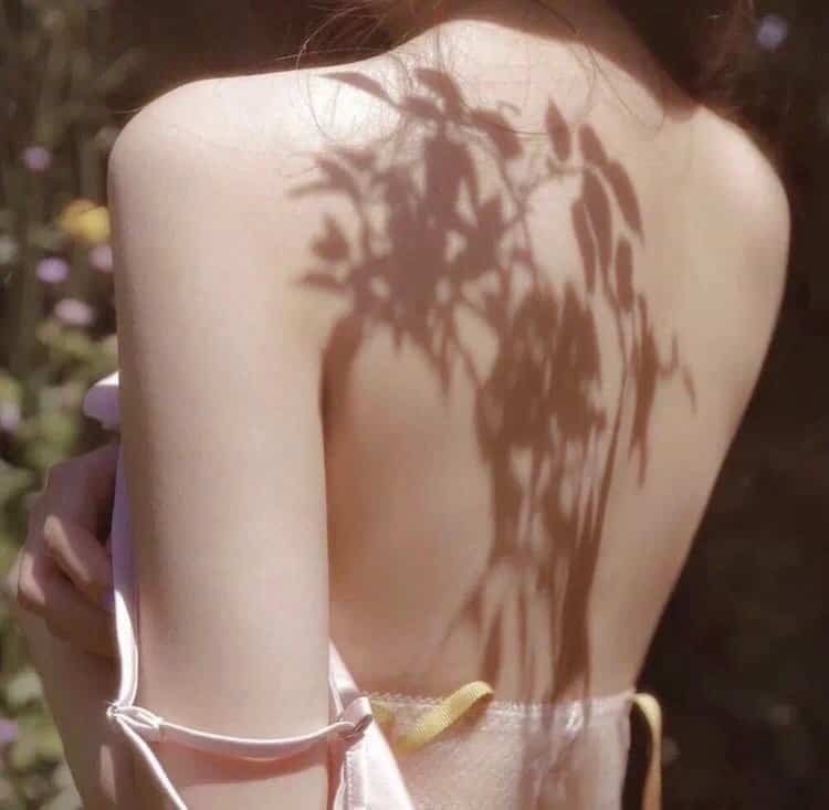 户外探险实况直播